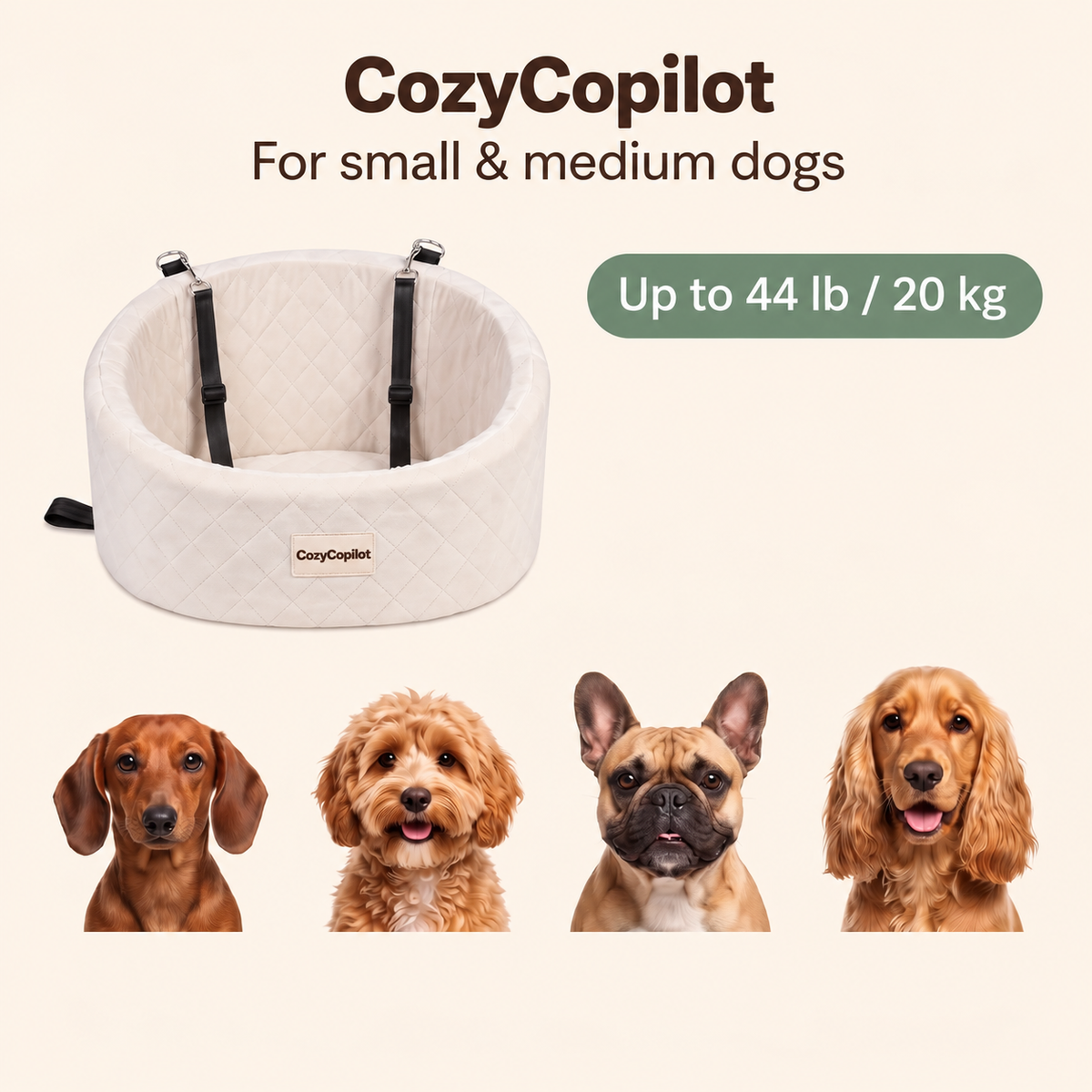 Elevated Dog Car Seat with Built-In Safety Harness
